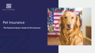 The Best Dog Insurance