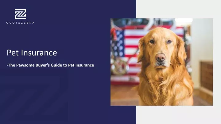 pet insurance