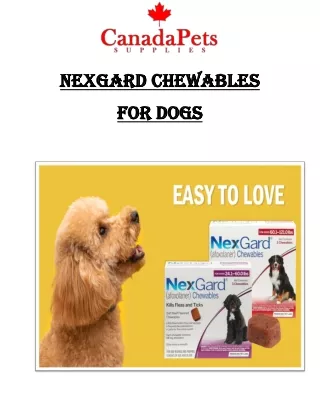 Nexgard Chewable For Dogs - CanadaPetsSupplies