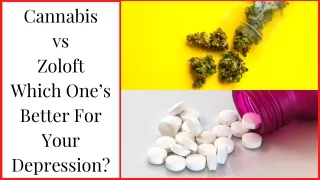 Cannabis vs. Zoloft- Which One’s Better For Your Depression?