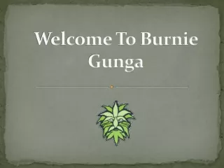 welcome to Burnie Ganja