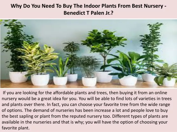 why do you need to buy the indoor plants from best nursery benedict t palen jr