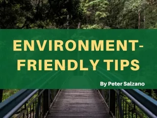 Peter Salzano – Environment-friendly Tips