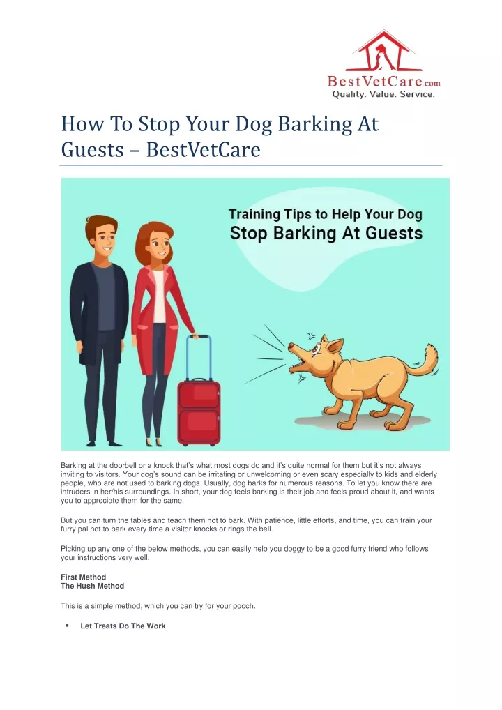how to stop your dog barking at guests bestvetcare