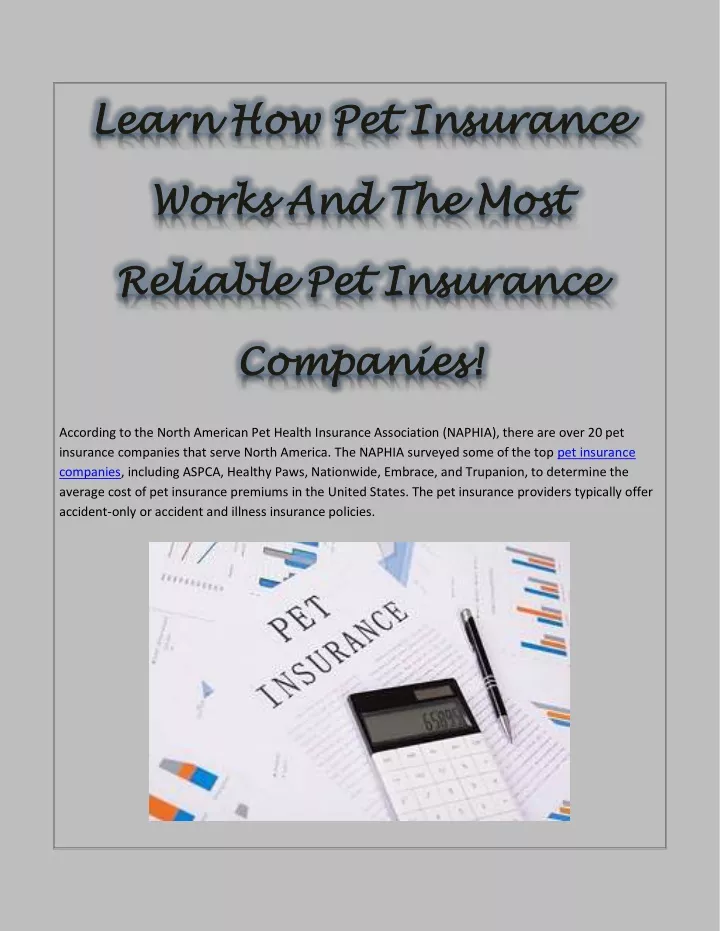 learn how pet insurance learn how pet insurance