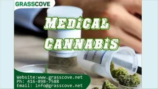 Medical Cannabis Toronto