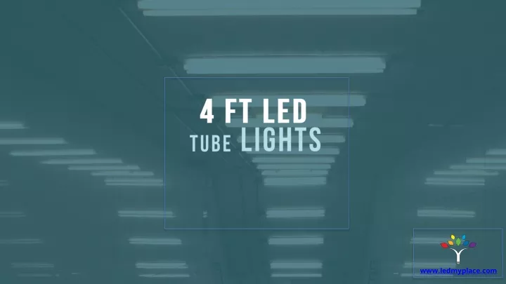 4 ft led