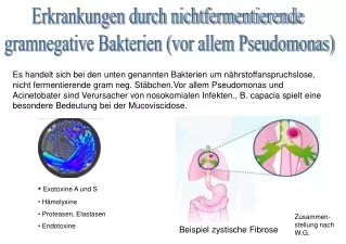 Pseudomonas,Erkrankungen durch gram negative Bakterien, Nicht fermentierende Bakterien, Pseudomonaspneumonie,Virulenzfak