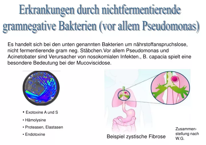 erkrankungen durch nichtfermentierende