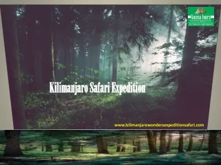 Kilimanjaro Safari Expedition