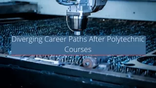 Diverging Career Paths After Polytechnic Courses
