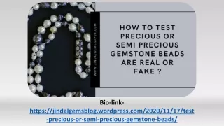 bio link https jindalgemsblog wordpress com 2020