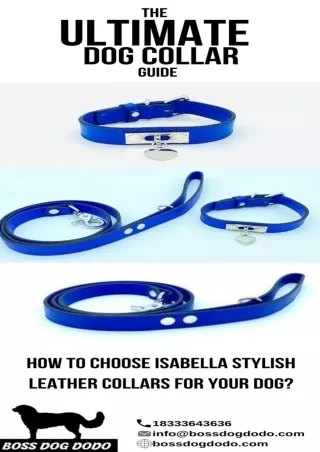 The Ultimate Dog Collar Guide: How to Choose Isabella Stylish Leather Collars for your Dog