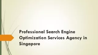 professional search e ngine o ptimization services agency in singapore