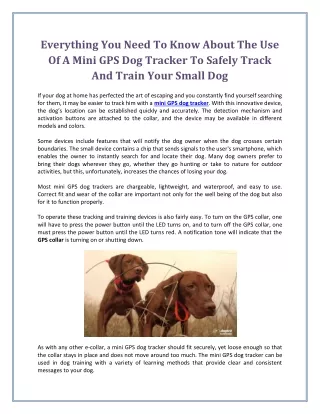 Everything You Need To Know About The Use Of A Mini GPS Dog Tracker To Safely Track And Train Your Small Dog