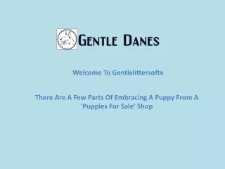 There Are A Few Parts Of Embracing A Puppy From A 'Puppies For Sale' Shop