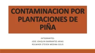 Contaminación por plantaciones de Piña en Costa Rica