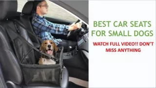 BEST CAR SEATS  FOR SMALL DOGS