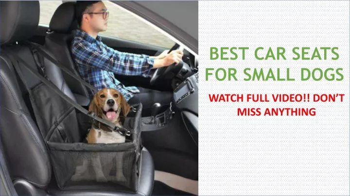 best car seats for small dogs