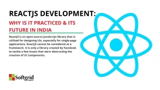 reactjs development
