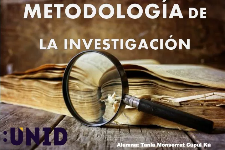 metodolog a de la investigaci n