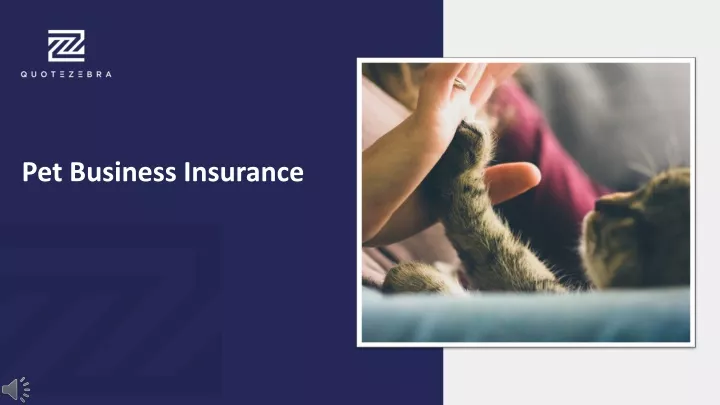pet business insurance