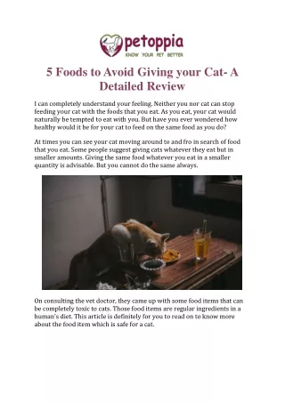 5 Foods to Avoid Giving your Cat- A Detailed Review
