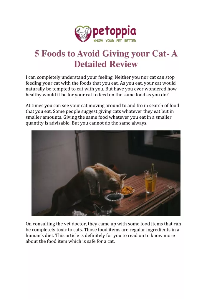 5 foods to avoid giving your cat a detailed review