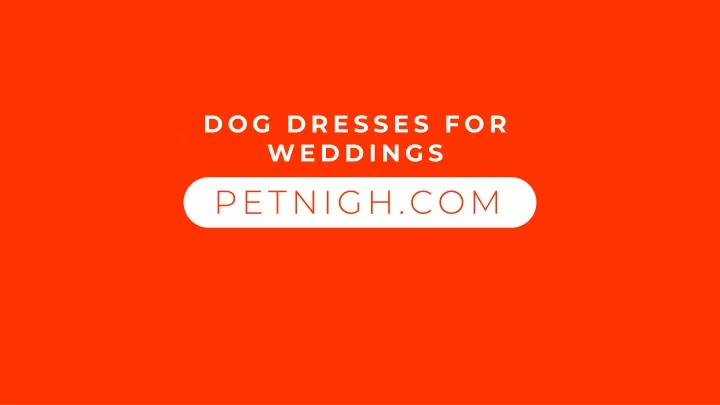 dog dresses for weddings