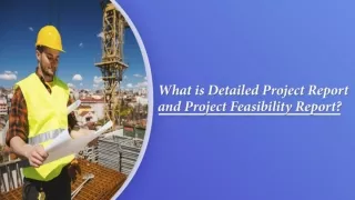 Detailed Project Report And Project Feasibility Report