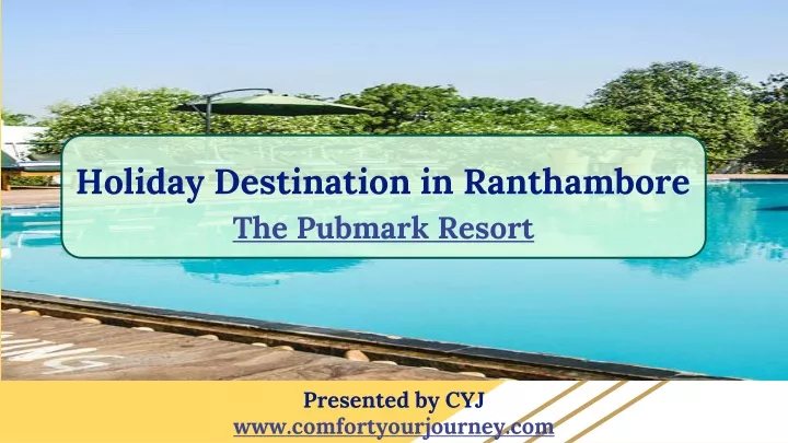 holiday destination in ranthambore the pubmark