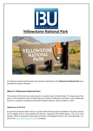 yellowstone national park