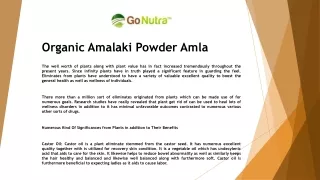 Organic Amalaki Powder Amla