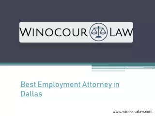Best Employment Attorney in Dallas - www.winocourlaw.com