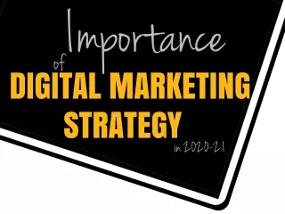 Importance of Digital Marketing Strategy – IMG Global Infotech