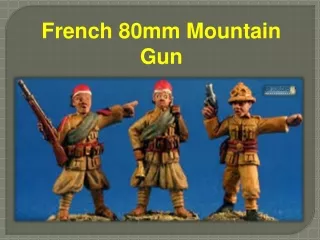 French 80mm Mountain Gun