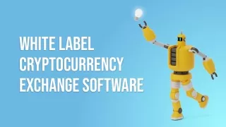 white label cryptocurrency exchange software