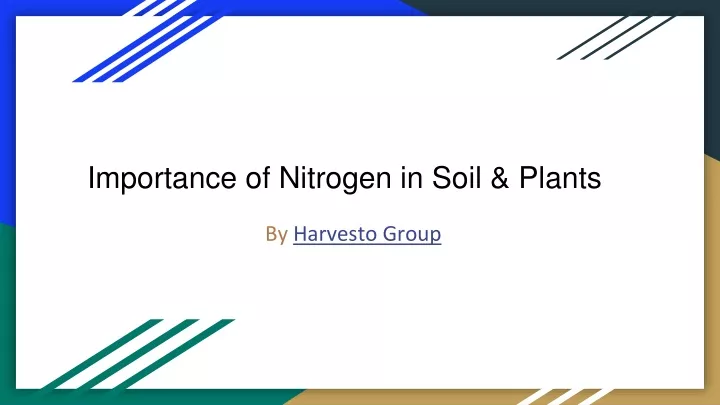 importance of nitrogen in soil plants