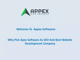 Why Pick Apex Software As SEO And Best Website Development Company