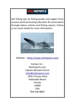 get fishing tips by fishing guides and anglers