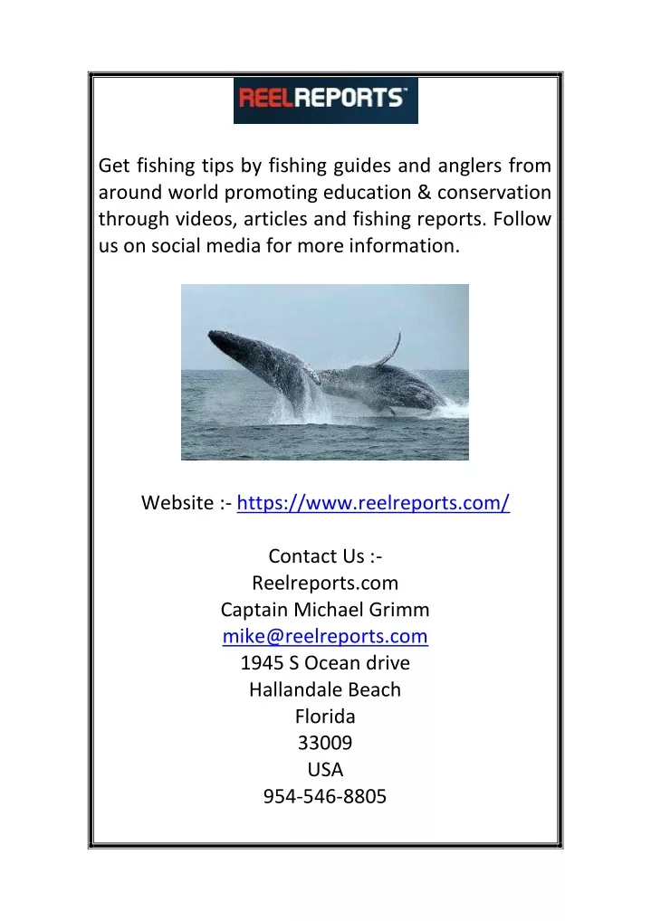 get fishing tips by fishing guides and anglers