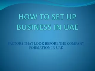BusinesBusiness Setup in UAE LLC |  Company Formation in UAE
