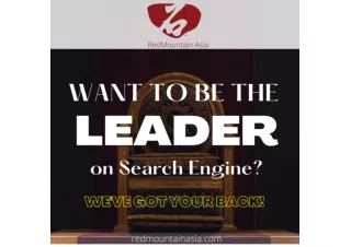 Leader on Search Engine | RedMountain Asia