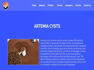 Artemia cysts