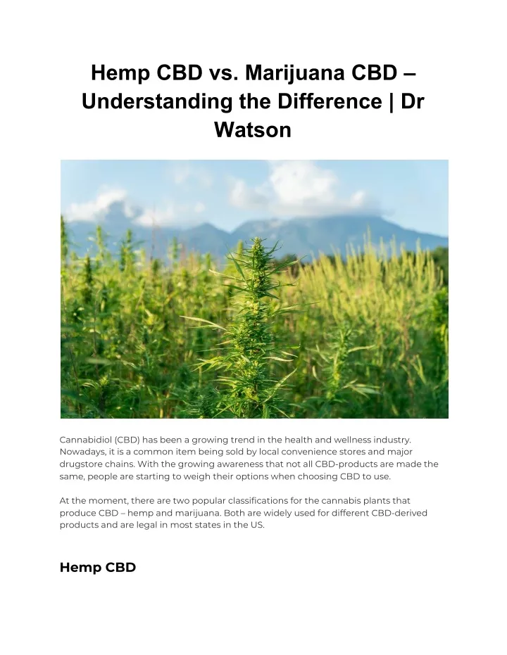 hemp cbd vs marijuana cbd understanding