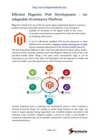 Efficient Magento Web Development Company India