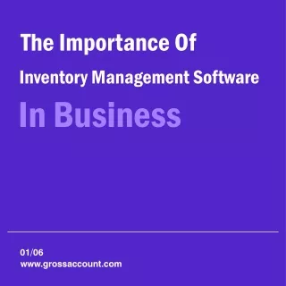 The Importance of Inventory Management Software in Business