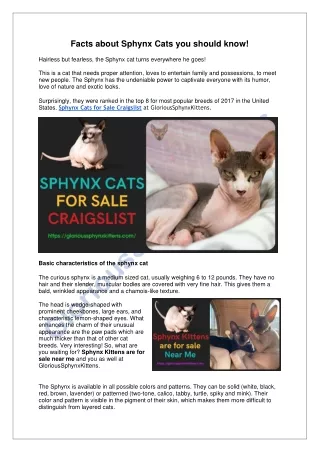 Facts about Sphynx Cats you should know!