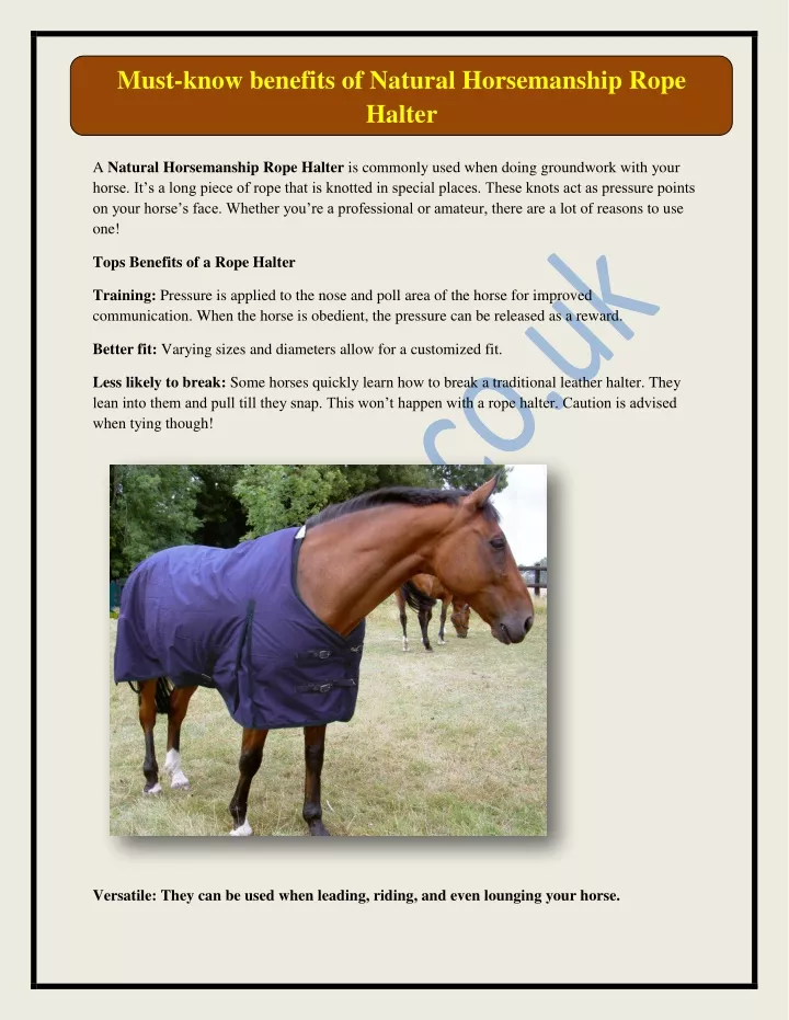 must know benefits of natural horsemanship rope