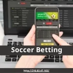 Become a Fantastic Football Trader - slide 1